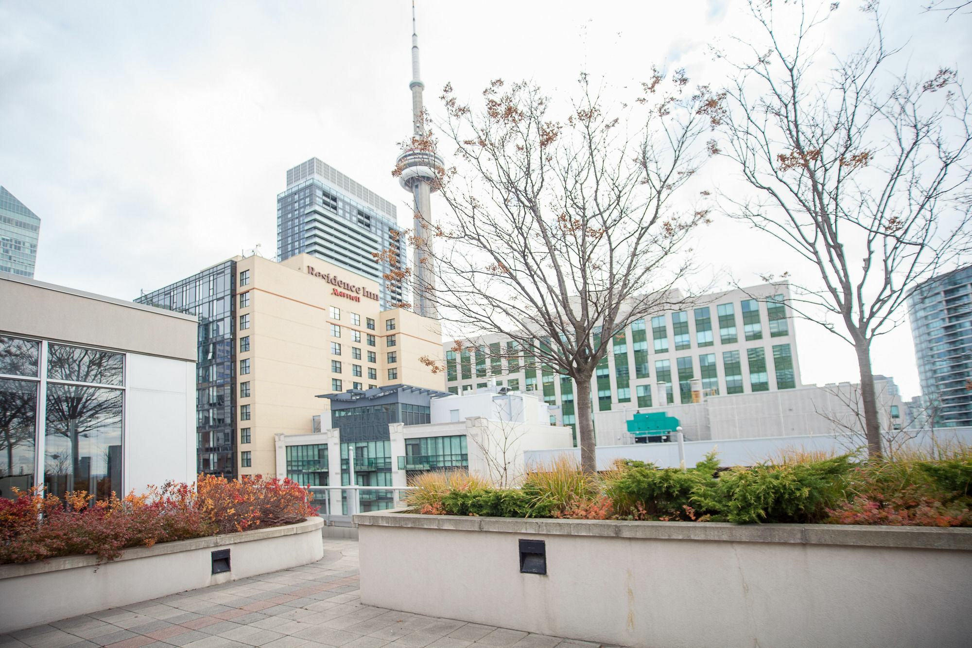 Red Maple Suites - Icon Toronto Exterior photo